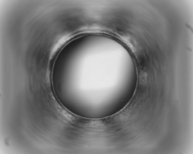 X0000094951464200712201126