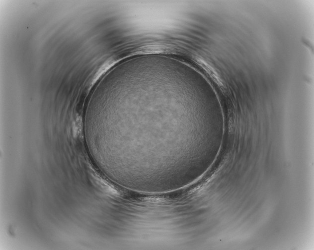 X0000094951465200712201126