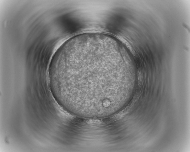 X0000094951466200712201126