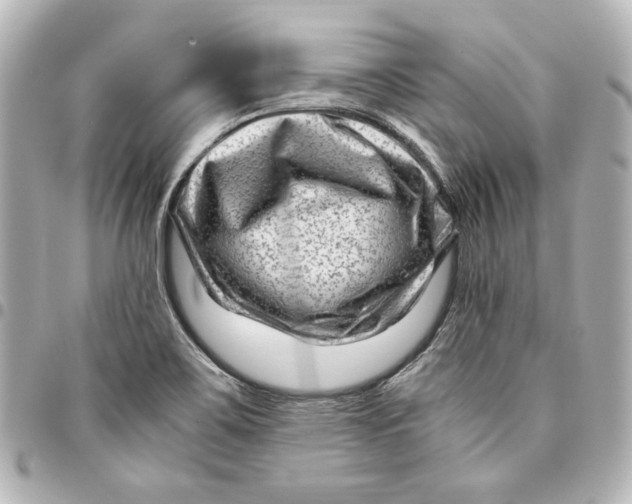 X0000094951467200712201126