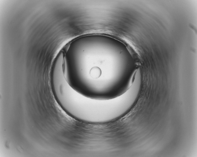 X0000094951468200712201126