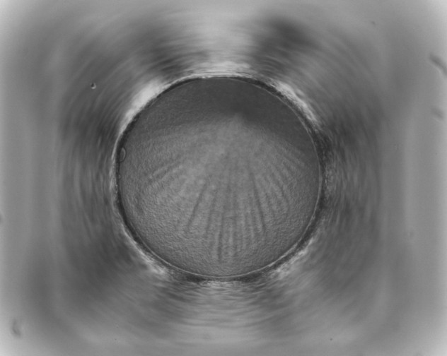 X0000094951469200712201126