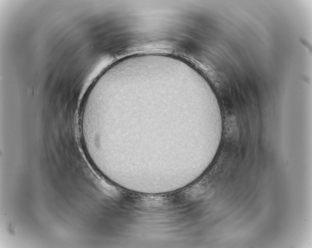 X0000094951470200712201126