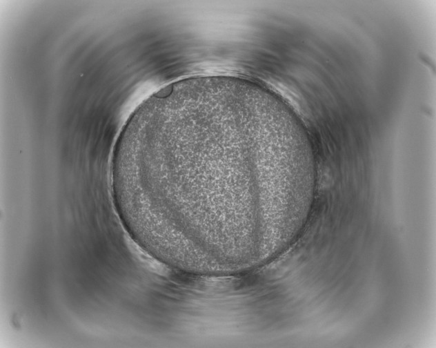 X0000094951471200712201126