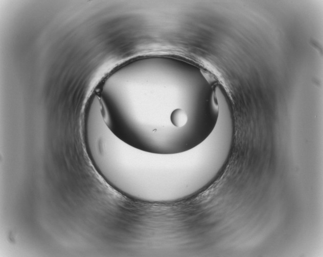 X0000094951472200712201126