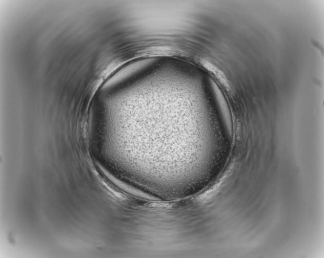 X0000094951473200712201126