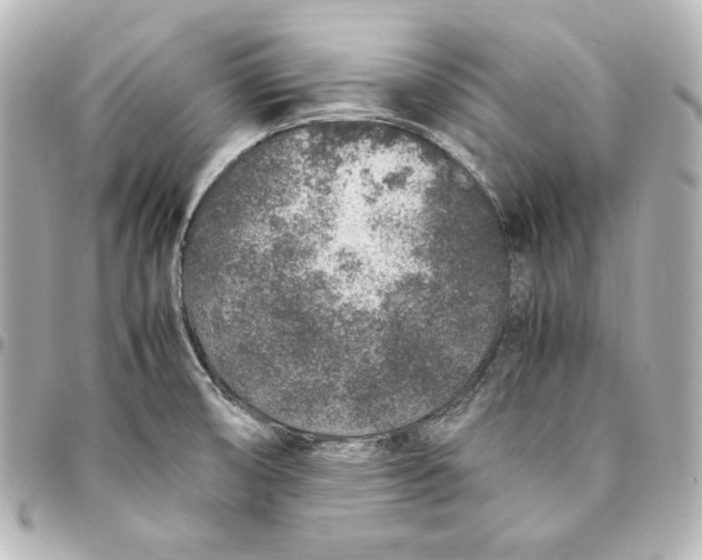 X0000094951474200712201126