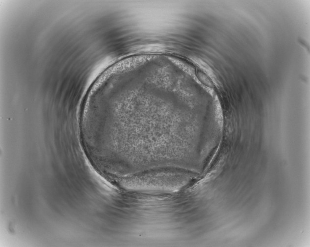 X0000094951475200712201126