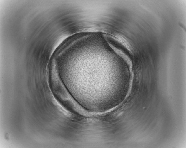 X0000094951476200712201126