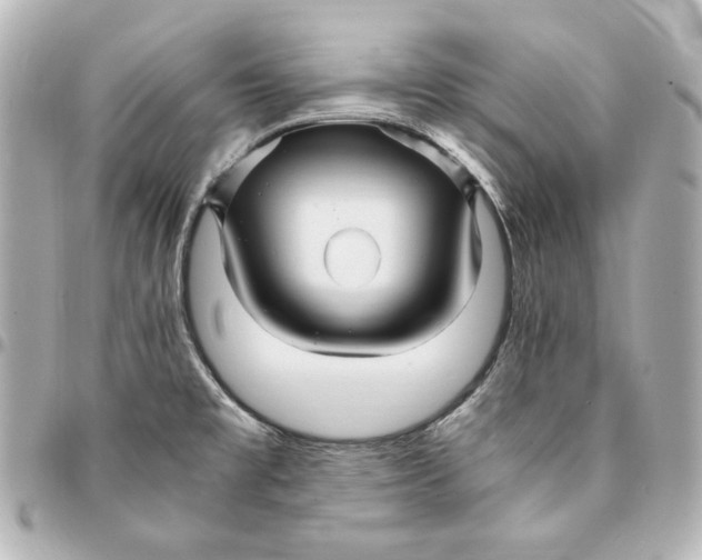 X0000094951477200712201126