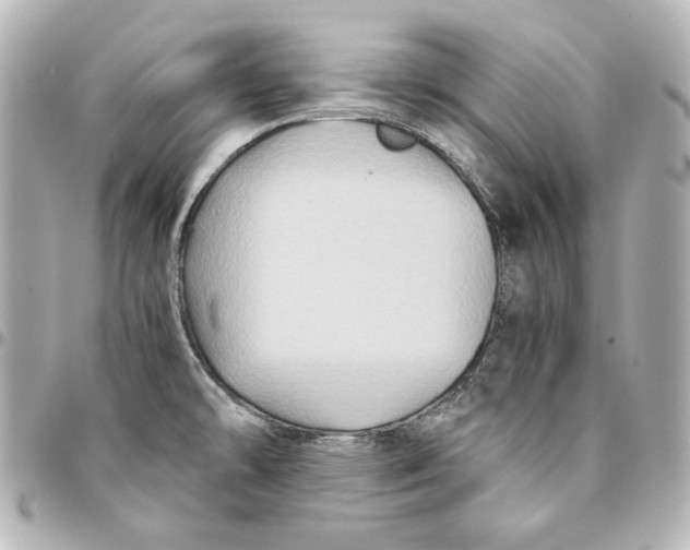 X0000094951478200712201126