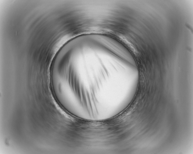 X0000094951479200712201126