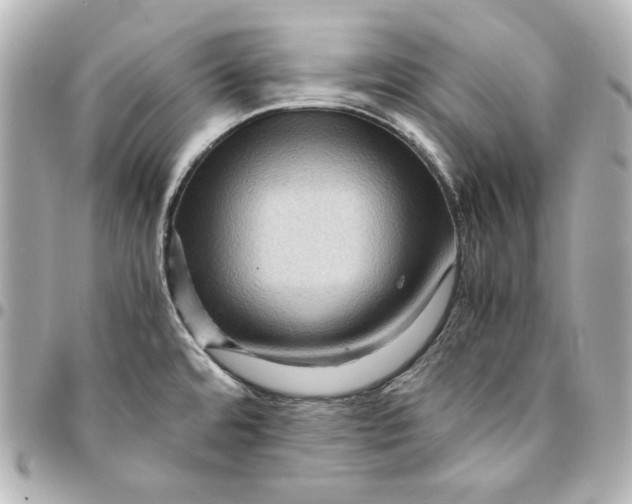 X0000094951480200712201126