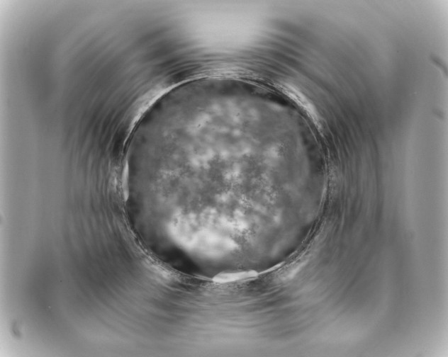 X0000094951481200712201126