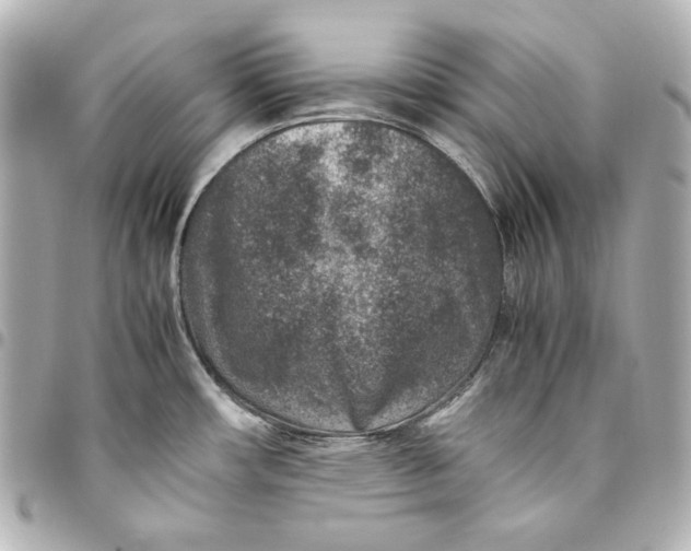 X0000094951482200712201126