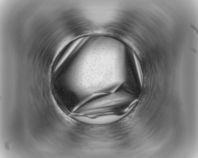 X0000094951483200712201126