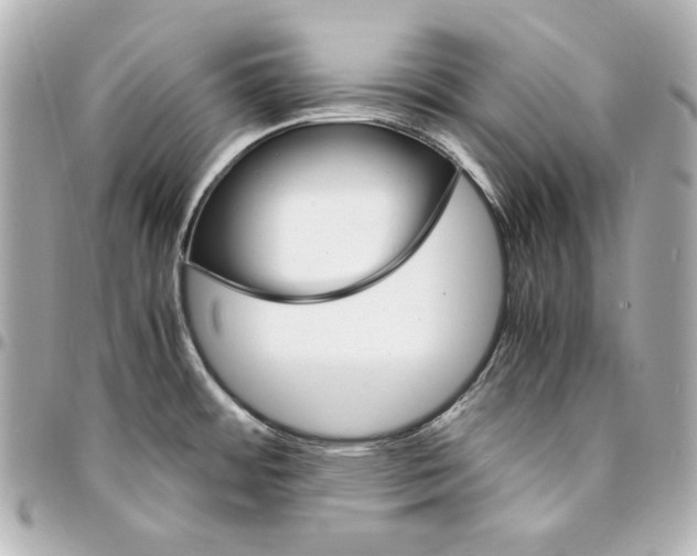 X0000094951484200712201126