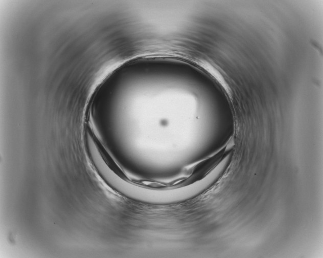 X0000094951485200712201126