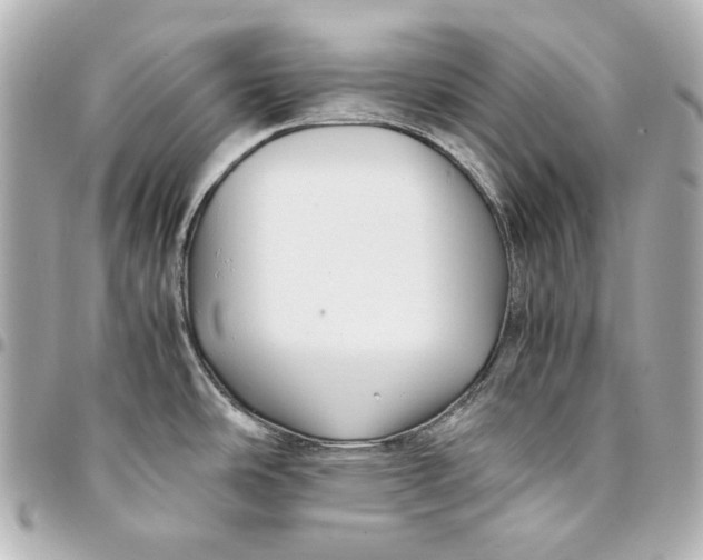 X0000094951486200712201126