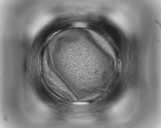 X0000094951487200712201126