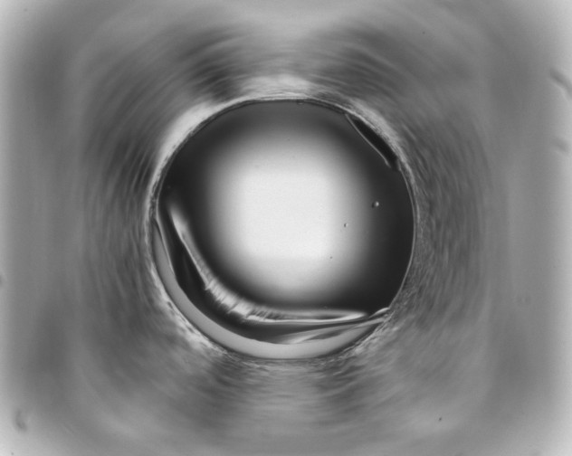 X0000094951488200712201126