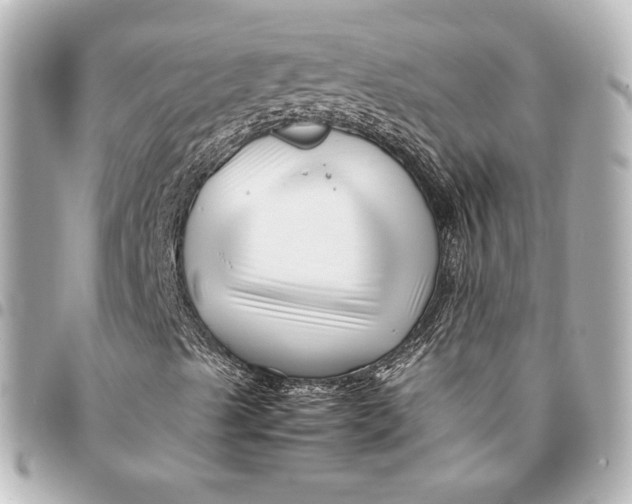 X0000094951489200712201125