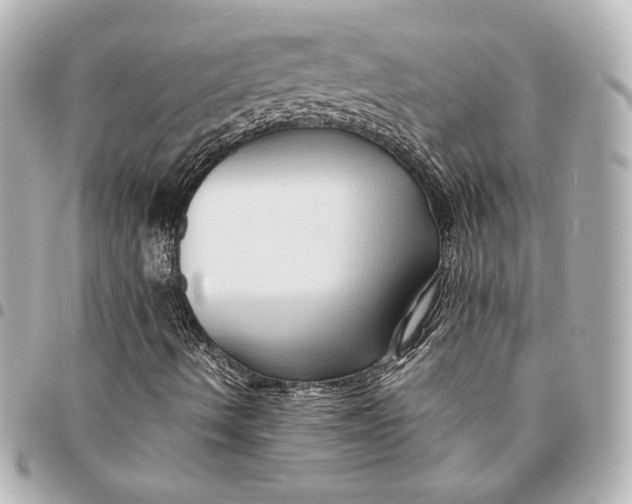 X0000094951490200712201125