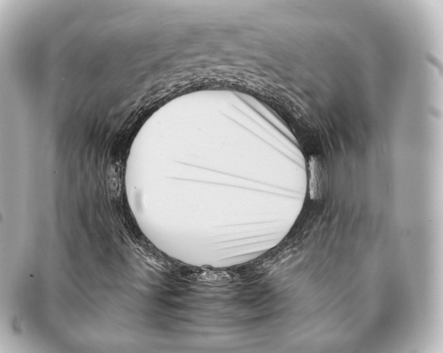 X0000094951491200712201125