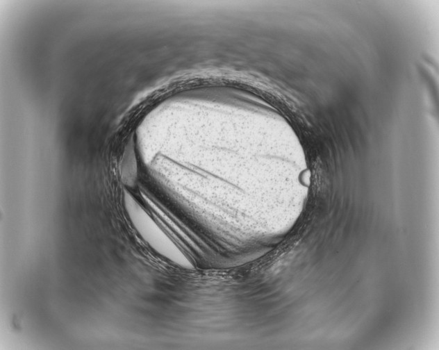 X0000094951494200712201125