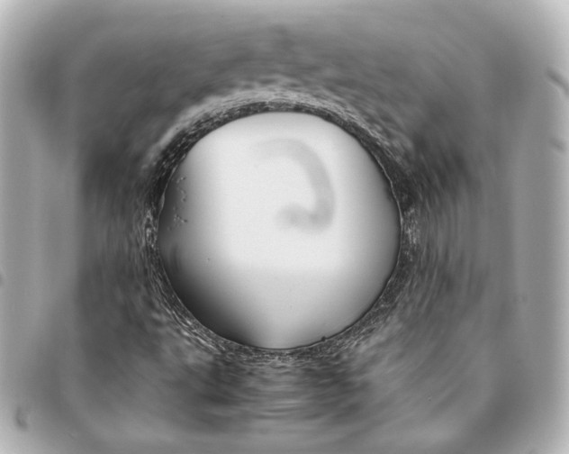 X0000094951495200712201125