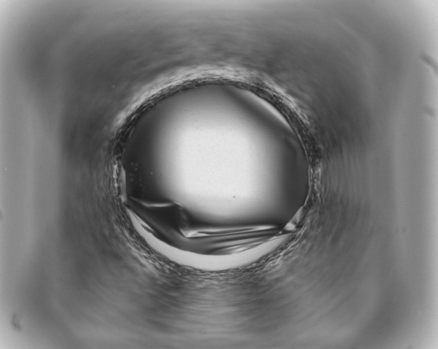 X0000094951496200712201125