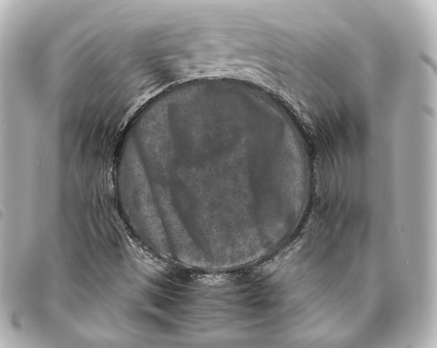 X0000094951497200712201125