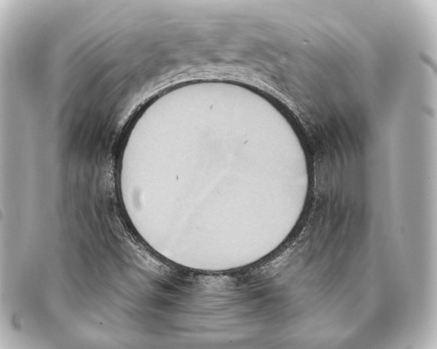 X0000094951498200712201125