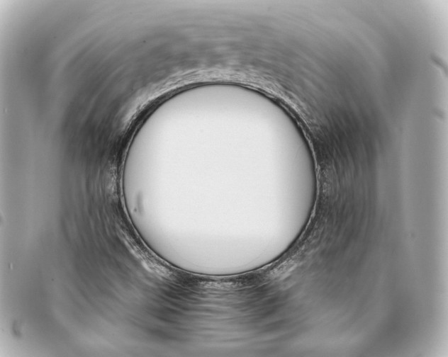 X0000094951499200712201125