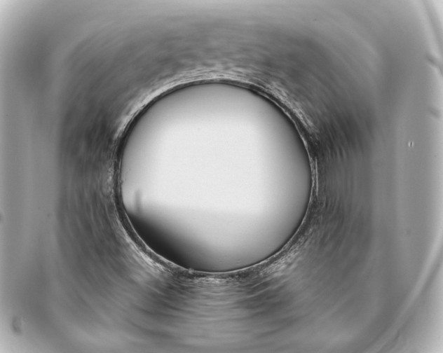 X0000094951500200712201125