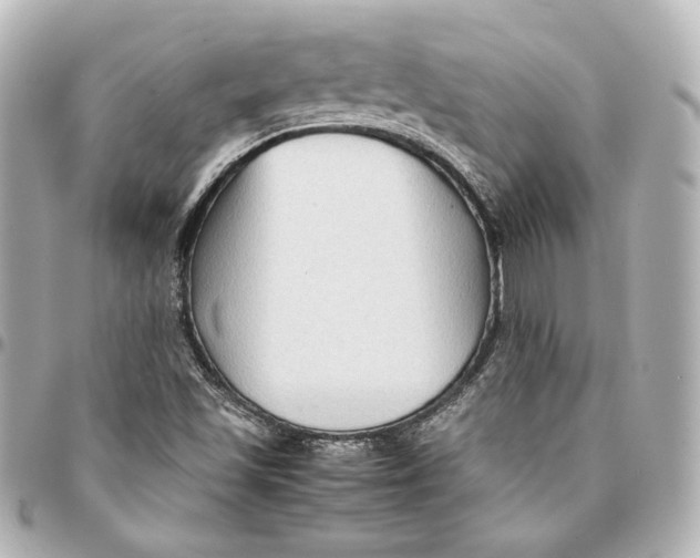 X0000094951501200712201125