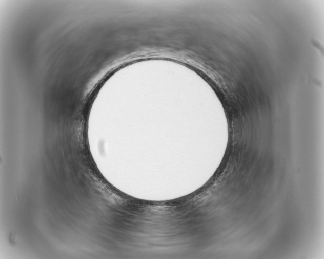 X0000094951502200712201125