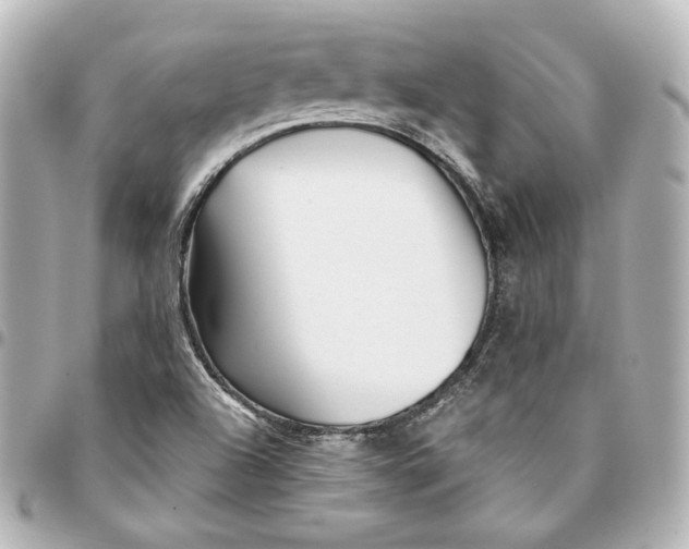 X0000094951504200712201125