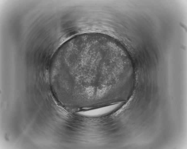 X0000094951505200712201125