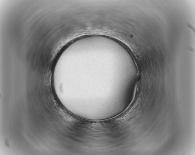 X0000094951507200712201125