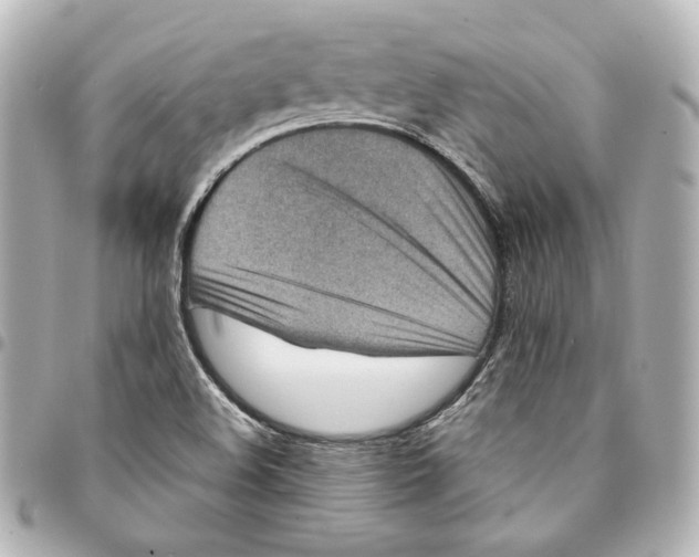 X0000094951508200712201125