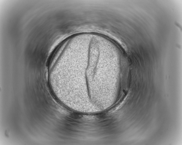 X0000094951509200712201125