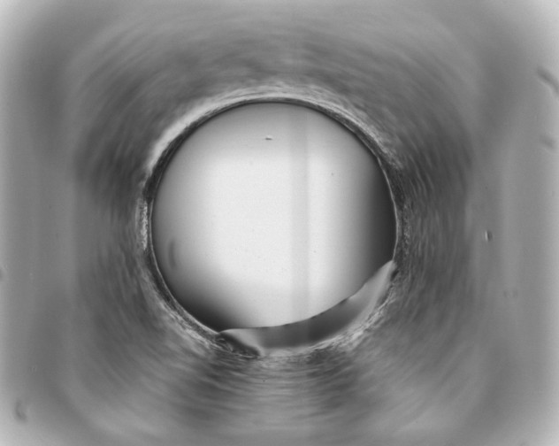 X0000094951510200712201125