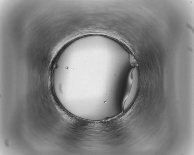 X0000094951511200712201125