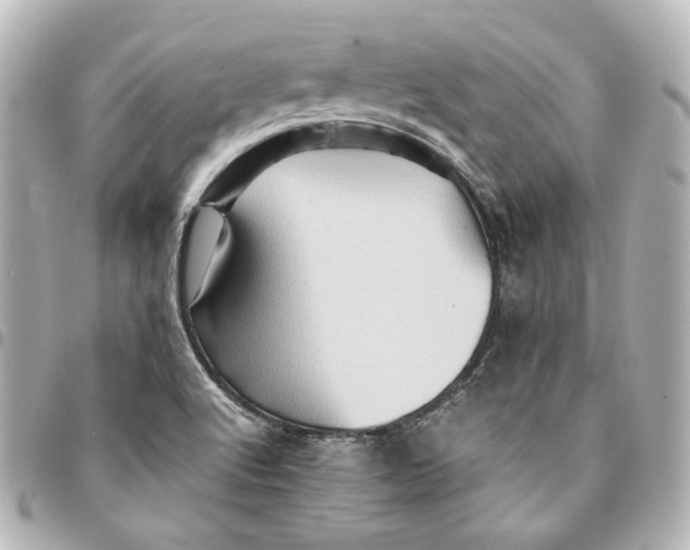 X0000094951512200712201125