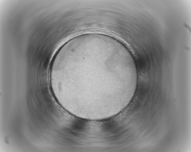 X0000094951514200712201125