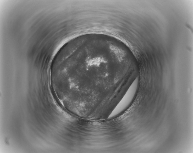 X0000094951515200712201125