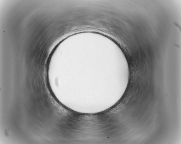 X0000094951518200712201126