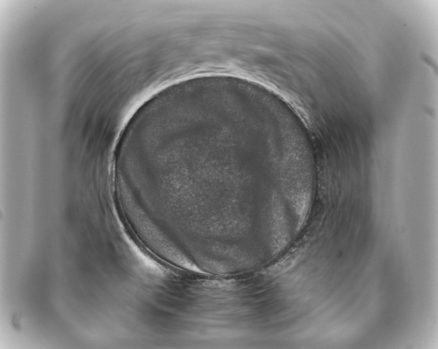 X0000094951519200712201126