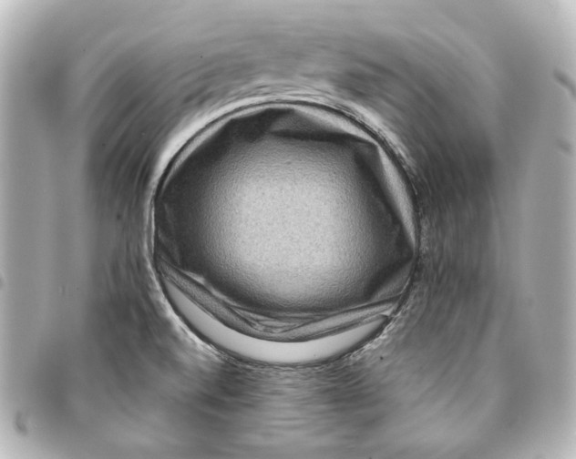 X0000094951520200712201126